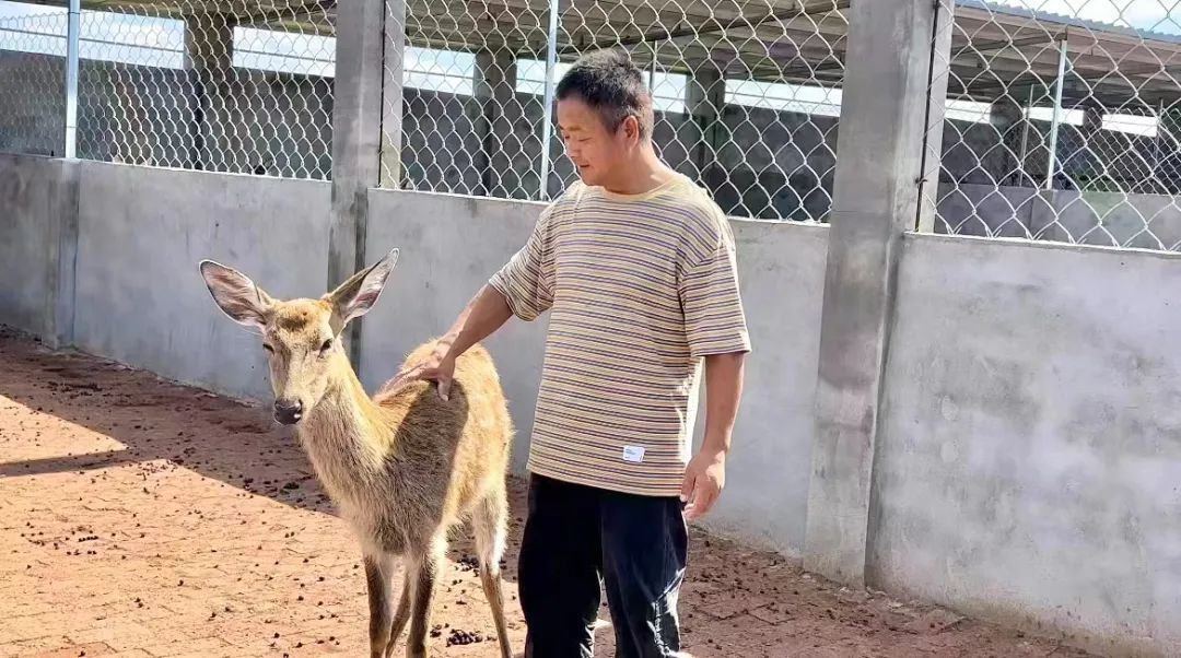 最火的注册送分的捕鱼